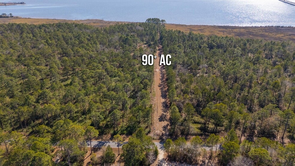 More Photos Of Hwy 331 S & Jolly Bay Road, Freeport Land For Sale