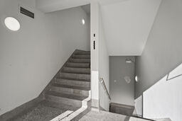 More Photos Of 505-511 Rue Rachel E, Montréal Storefront Retail Office For Sale