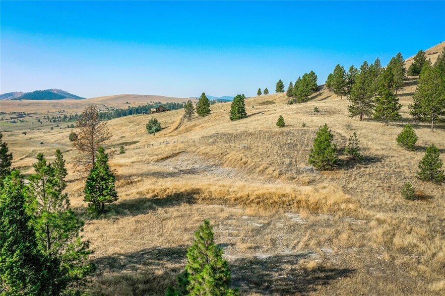 More Photos Of 29011 Walking Horse Ln, Big Arm Land For Sale