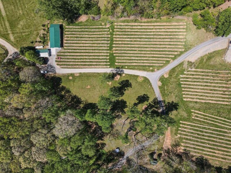 More Photos Of 366 Paradise Rd, Blairsville Winery Vineyard For Sale