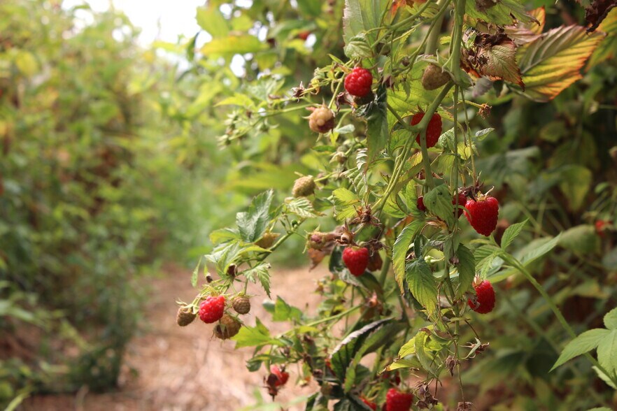 More Photos Of 16475 Blackie Rd, Salinas Land For Sale