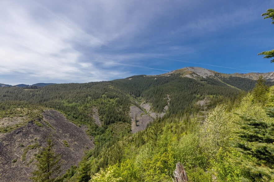 More Photos Of 0 Snag Mountain Road, Washougal Land For Sale
