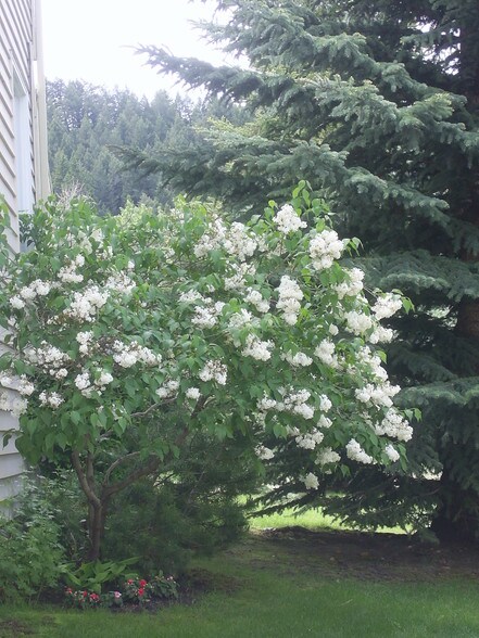 More Photos Of , Calgary Multifamily For Sale