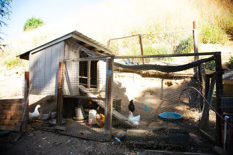 More Photos Of 2700 Franklin Canyon Rd, Martinez Winery Vineyard For Lease