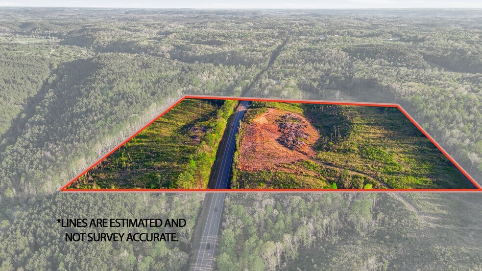 Primary Photo Of 0 Highway 269, Parrish Land For Sale
