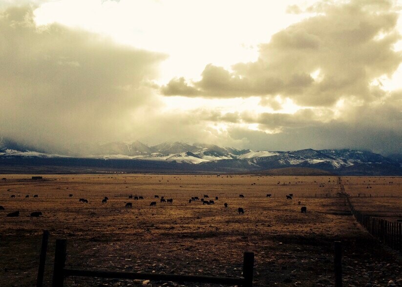 More Photos Of 3750 Pahsimeroi Rd, May Land For Sale