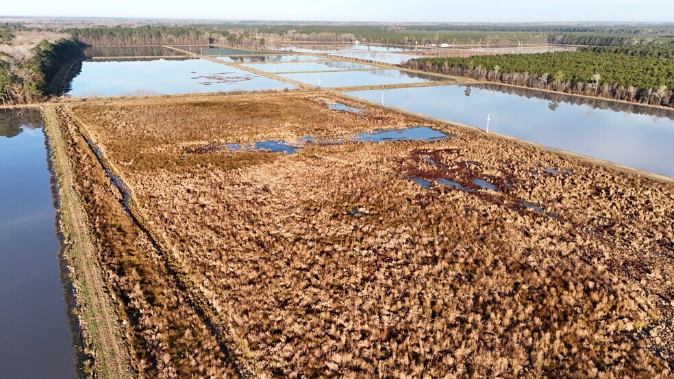 More Photos Of 5619 Emma Cannon Rd, Ayden Land For Sale