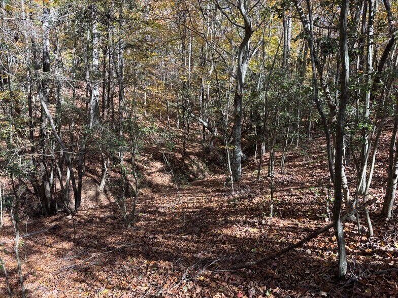 More Photos Of 169 Stone Dr, Belton Land For Sale