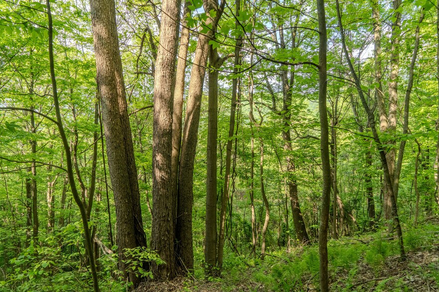 Primary Photo Of 0 Bidwell Rd, Mill Run Land For Sale
