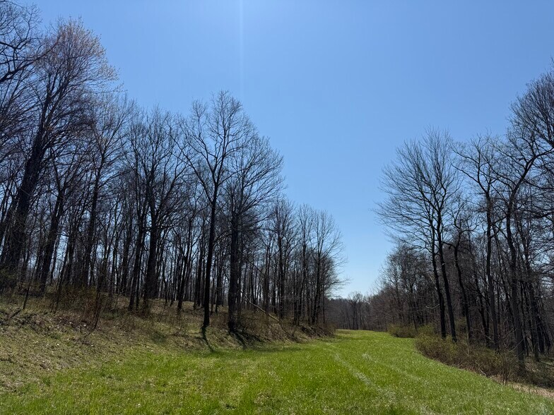 More Photos Of 0 Kragel Rd, Wintersville Land For Sale