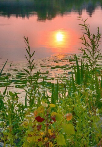 More Photos Of 8150 Baltimore Ave, College Park Apartments For Lease