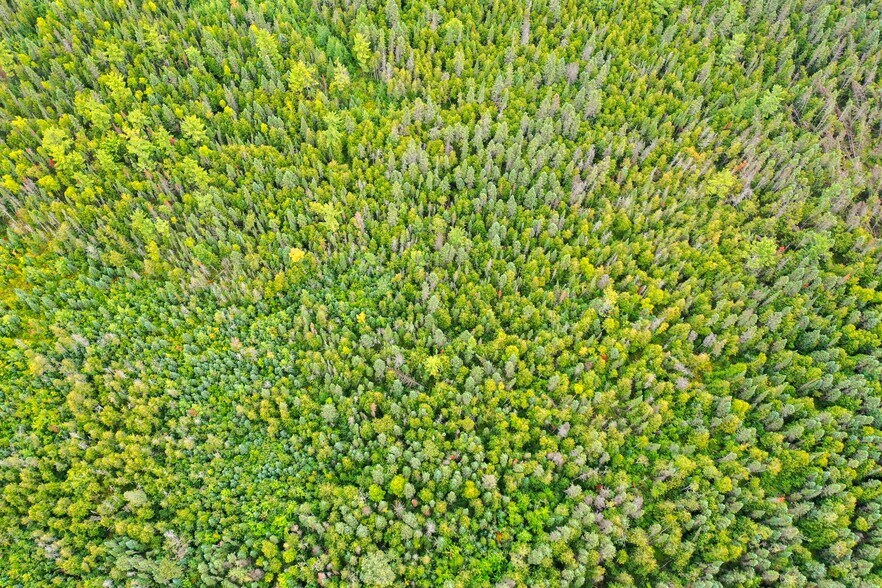 More Photos Of US Highway 141, Wausaukee Land For Sale