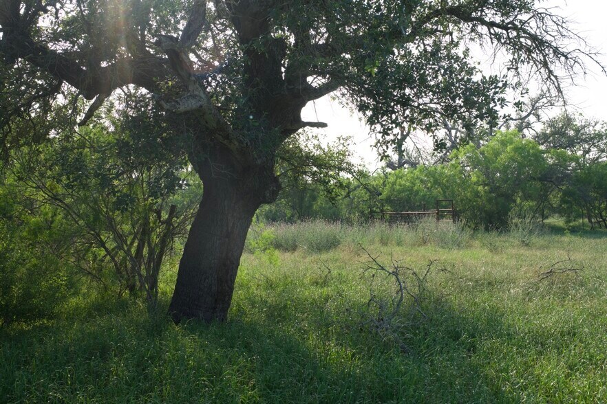 More Photos Of 00 Taylorsville Rd, Red Rock Land For Sale