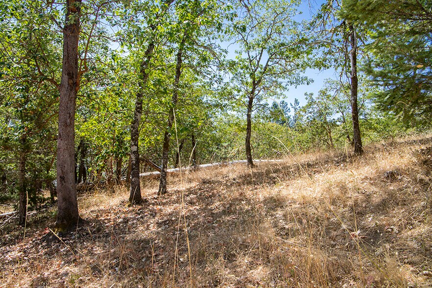 More Photos Of 0 Rosemary Lane Ln, Grants Pass Land For Sale