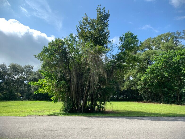 More Photos Of 1st St, Polk City Land For Sale