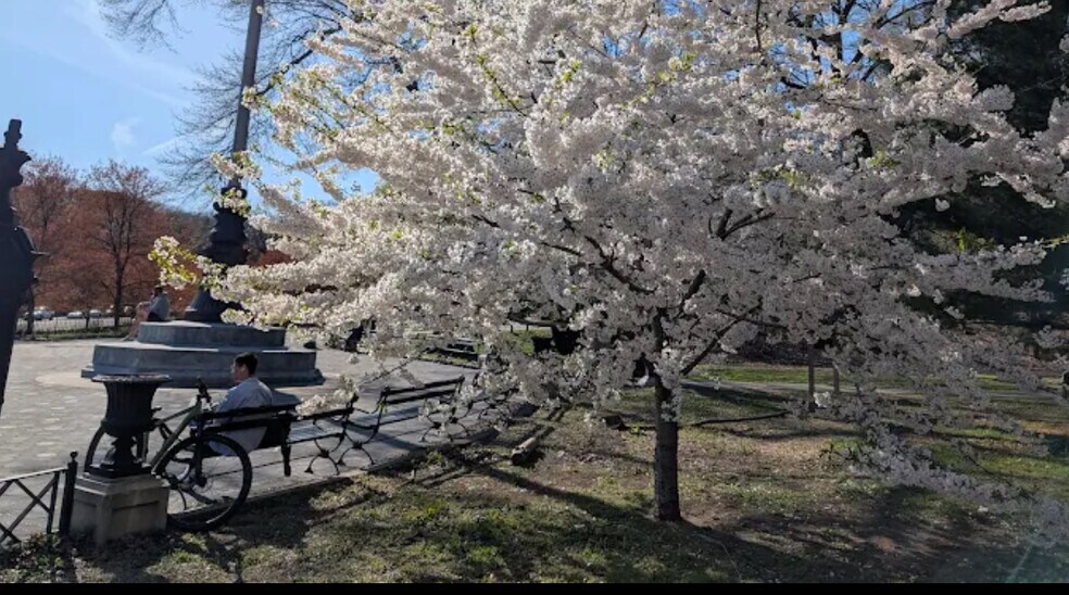More Photos Of 11882 Metropolitan Ave, Kew Gardens Apartments For Lease