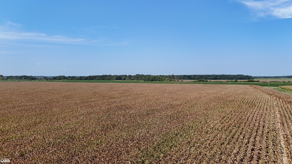 More Photos Of 1120 Highway 165 N, Stuttgart Land For Sale
