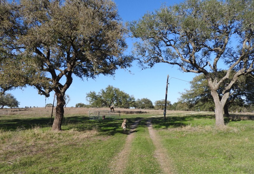 Primary Photo Of Orange Ln, Beeville Land For Sale