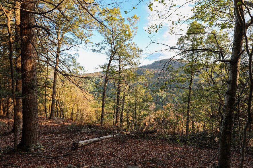 More Photos Of TBD NY-28, Phoenicia Land For Sale