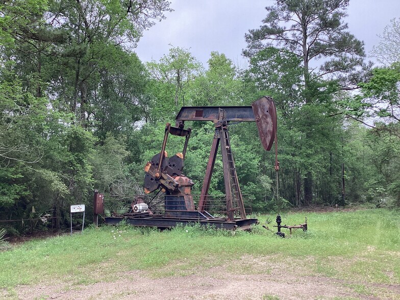 More Photos Of 0 County Road 4876, Dayton Land For Sale