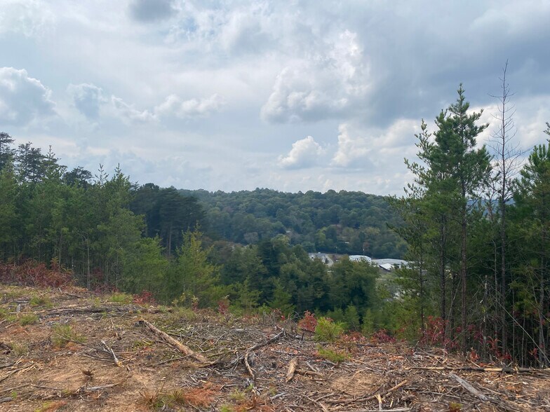More Photos Of 8 First Ave, Ellijay Land For Sale