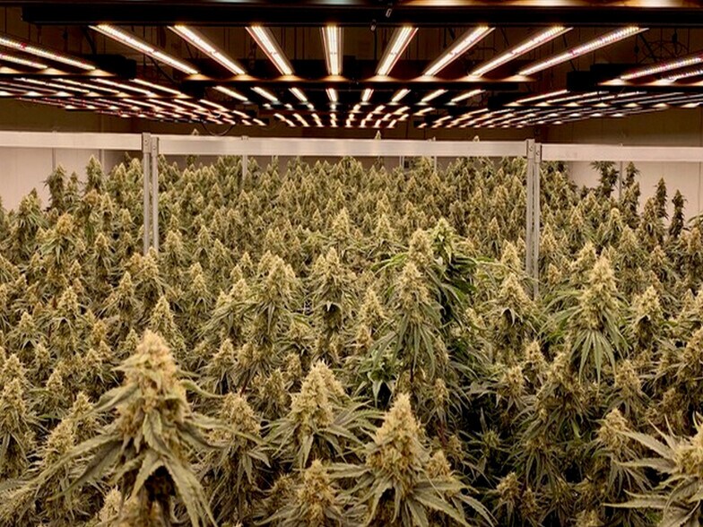 More Photos Of 80 Allegiance ln, Waynesville Warehouse For Lease