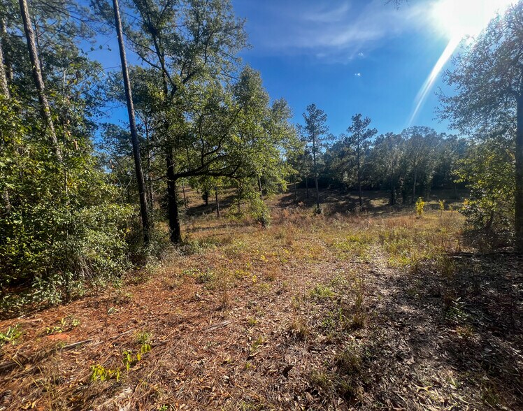 More Photos Of 0 Highway 198, Lucedale Land For Sale