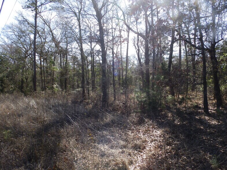 More Photos Of 20175 HWY 155 S, Flint Land For Sale