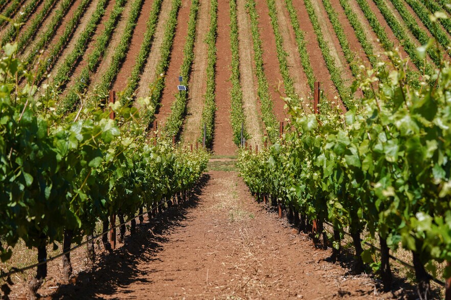 More Photos Of 12000 NW Old Wagon Rd, Carlton Winery Vineyard For Sale