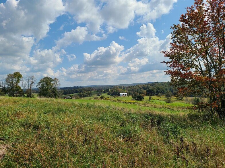 More Photos Of 356 Gabel Rd, Callicoon Land For Sale