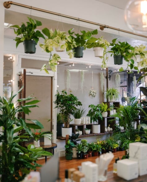 More Photos Of 701 Front St, Santa Cruz Freestanding For Lease