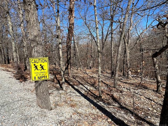 More Photos Of 450630 S Old Mill Road, Afton Trailer Camper Park For Sale