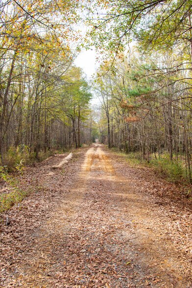 More Photos Of 409 Windward Ave, Orangeburg Land For Sale