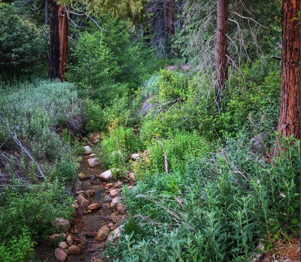 Primary Photo Of Highway 330, Running Springs Land For Sale
