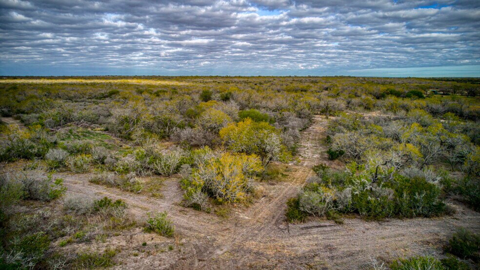 More Photos Of County Road 422, Pleasanton Land For Sale