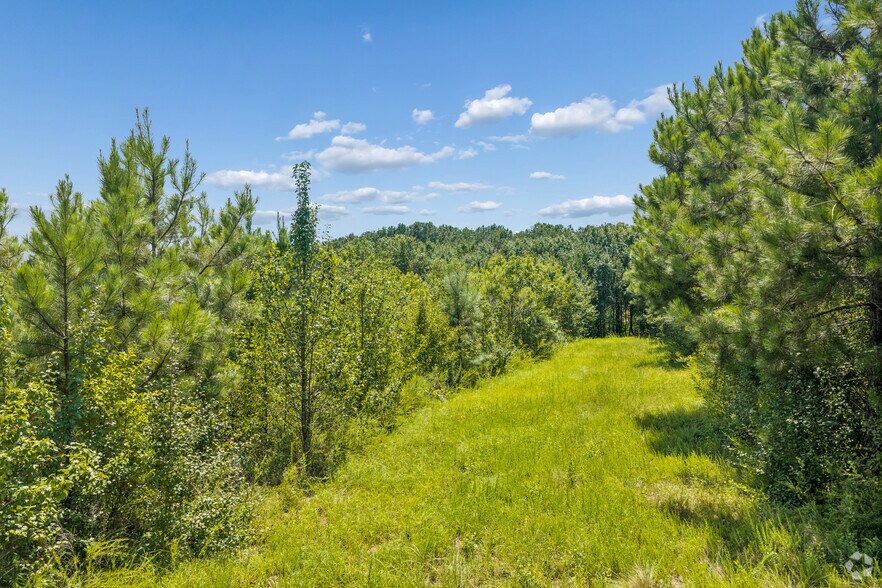 More Photos Of 375 Jonesboro Rd, McDonough Land For Sale