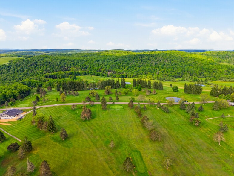 More Photos Of 5471 Telephone Rd, Cincinnatus Sports And Entertainment For Sale