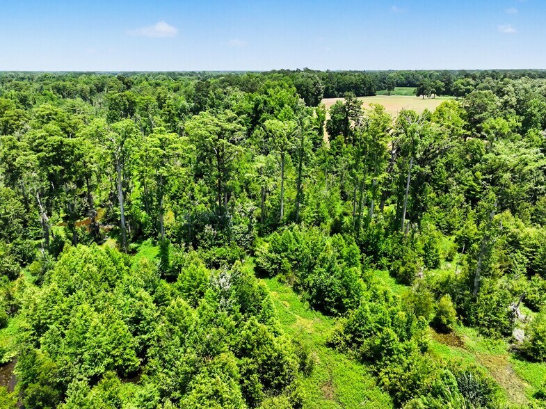 More Photos Of TBD Mitchell Sea Rd., Green Sea Land For Sale