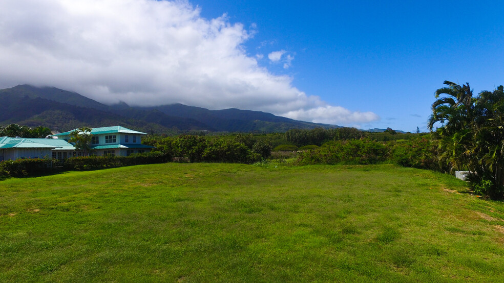 Primary Photo Of 1863 Wili Pa Loop, Wailuku Land For Sale