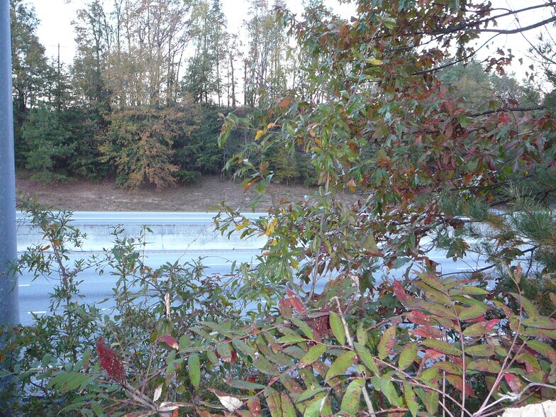 More Photos Of 10.5 Acs Royal American Rd, Anderson Land For Sale