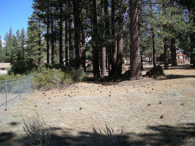 Primary Photo Of 776 Knickerbocker Rd, Big Bear Lake Land For Sale