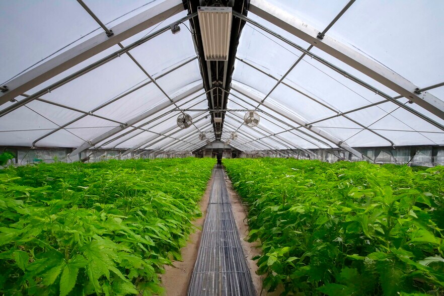 More Photos Of 3740 Bridlepath Ln, Virginia Beach Land For Lease