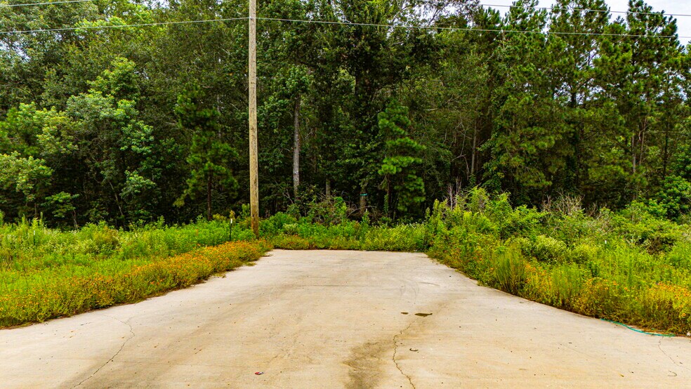 More Photos Of 0 HWY 242 TBD Hwy 242 Hwy, Conroe Land For Sale