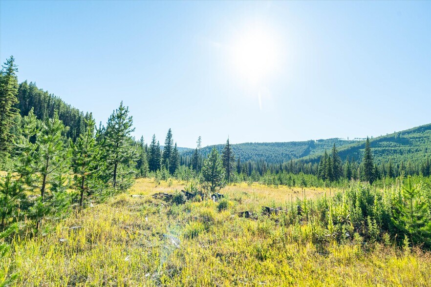 More Photos Of Nhn Logan Creek Road, Kila Land For Sale