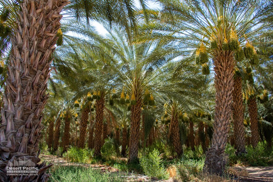 More Photos Of SEC Lincoln St & 81st Ave ave, Thermal Land For Sale