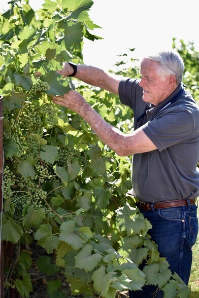 More Photos Of 25203 Road 212, Lindsay Land For Sale