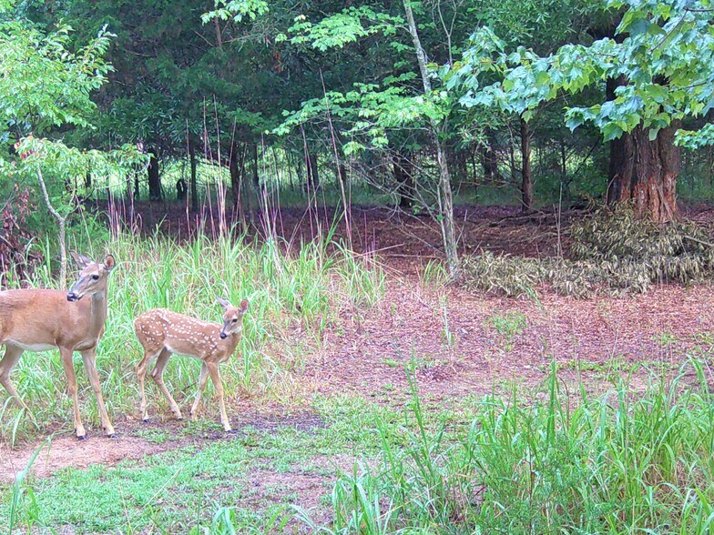 More Photos Of 144 Old Asbury Rd, Anderson Land For Sale