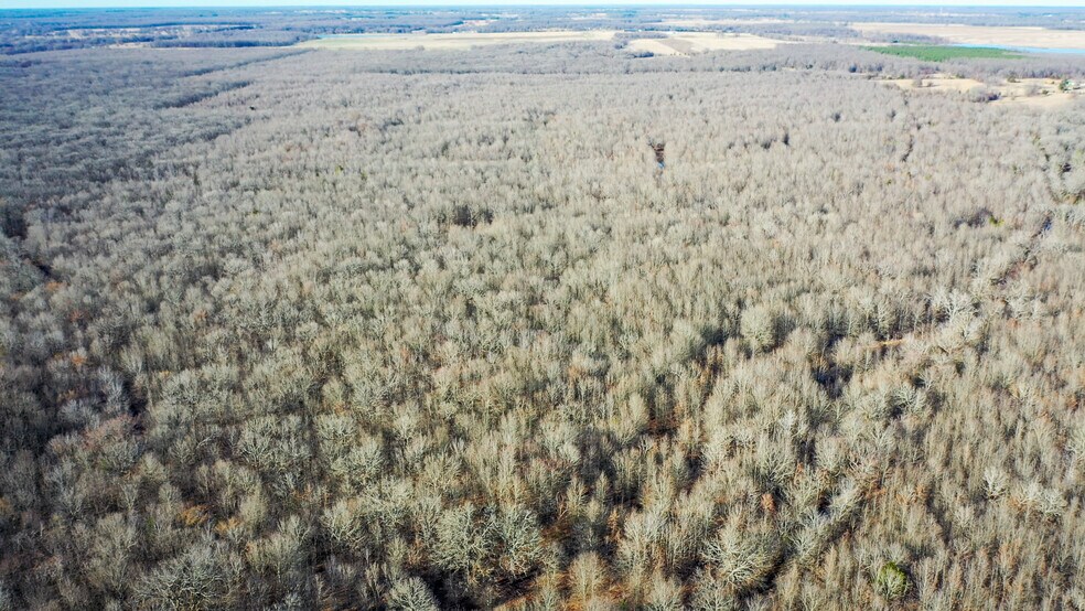 More Photos Of 1200 County 1255 rd, Detroit Land For Sale