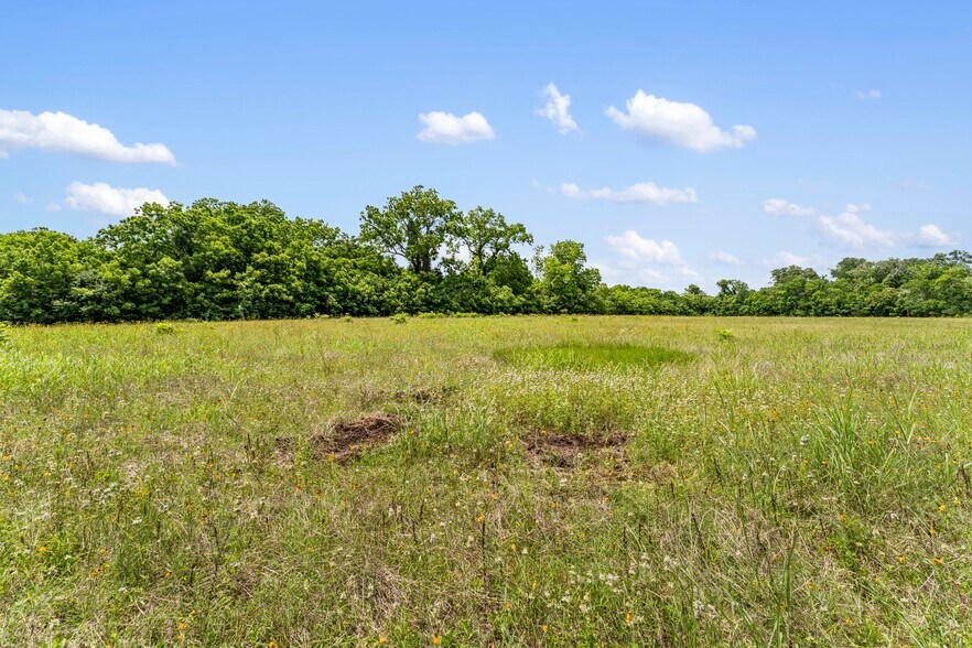 More Photos Of 10840 FM 442, Boling Land For Sale