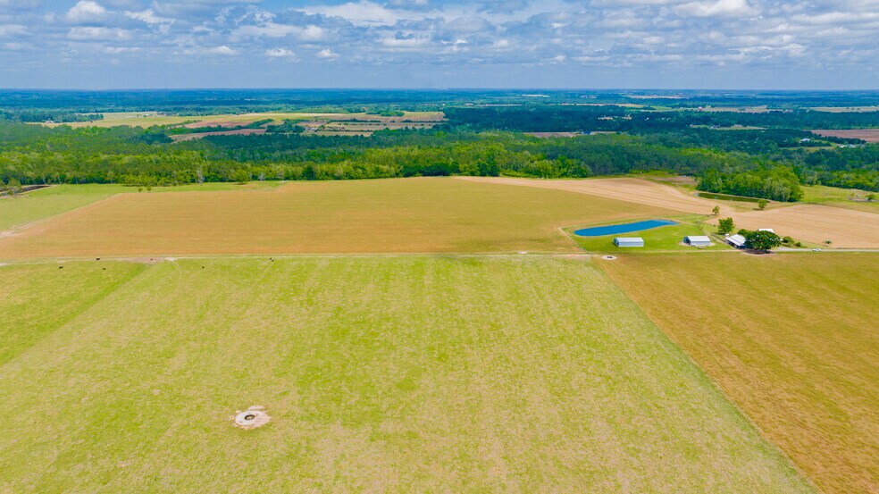 More Photos Of 24795 Hwy 32, Elberta Land For Sale